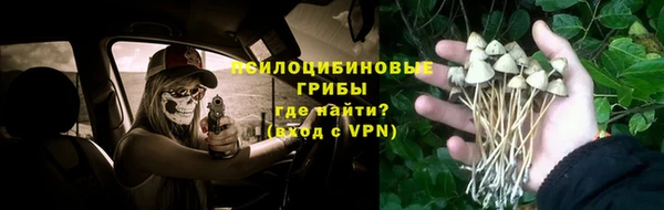 гидра Пестово