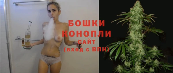 гидра Пестово