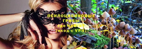 меф Пересвет